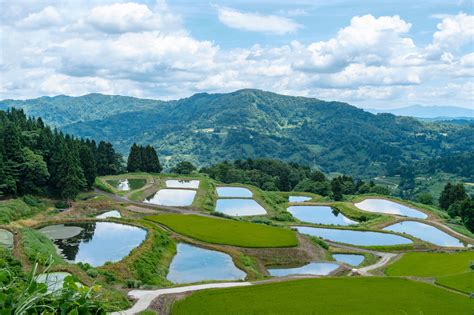 長岡 デート|【新潟】次のデートに「長岡」はいかが？カップルに .